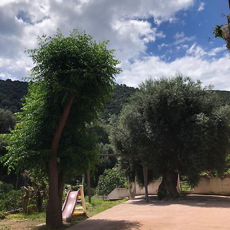Appartamento Maremontagna Кардеду Экстерьер фото